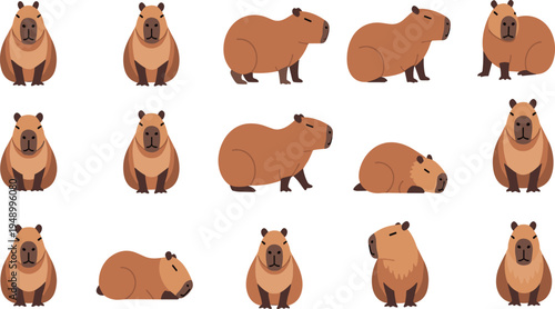 Capybara Vector Illustration Set Featuring Cute Giant Rodents in Sitting, Standing, and Resting Poses for Wildlife Nature Graphics and Zoo Designs.