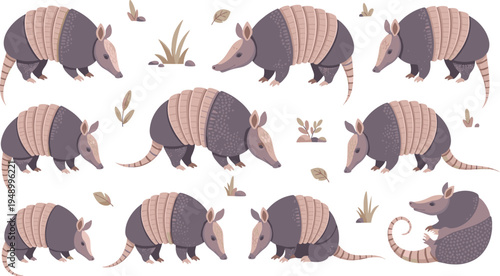 Armadillo Vector Illustration Set Featuring Desert Mammals with Protective Armor Shells in Walking, Sitting, and Rolling Poses for Wildlife Nature Graphics.