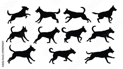Collection of various dog breeds in dynamic running postures silhouette