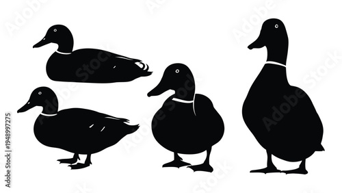 Detailed analysis of duck silhouettes in various poses and sizes