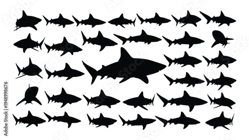 A large school of various shark species swimming together in different directions on a white background with a giant shark in the center