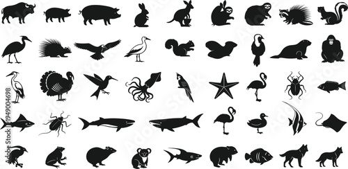 Wild animal silhouettes collection with birds fish shark and cat in black vector icon style