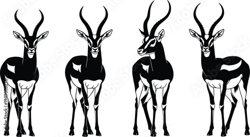 Hand drawn vector illustration of a wild stag and silhouettes of deer with large antlers featuring an artistic reindeer sketch for nature wildlife and christmas hunting design