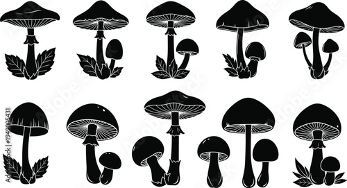 Set of flowers vector and a cartoon red agaric mushroom isolated on green grass in a forest nature illustration