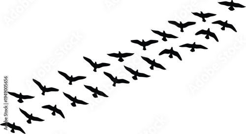 A large flock of black silhouettes of birds flies through a clear blue sky during a nature wildlife migration