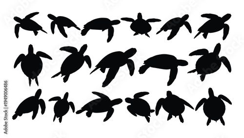 Detailed analysis of sea turtle silhouettes in various swimming positions and angles