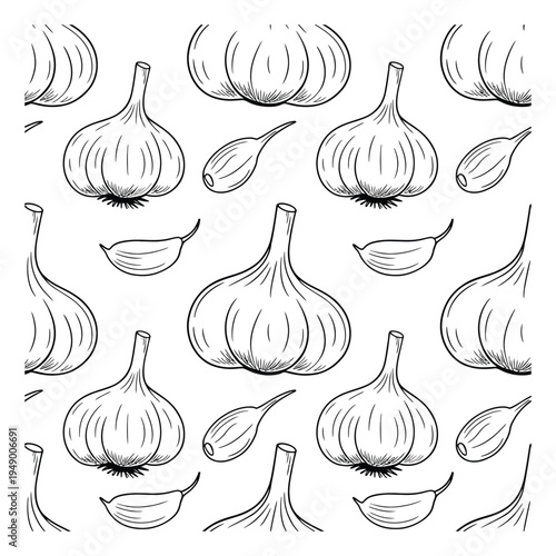 Garlic Bulbs and Cloves Vector Illustration