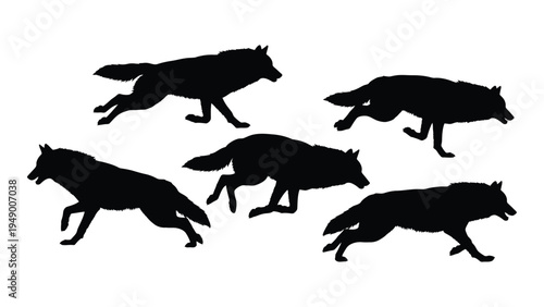 Detailed analysis of a pack of wolves in motion through silhouette illustrations