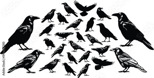 Collection of Silhouettes of Ravens, Crows, and Birds in Various Poses for Your Creative Designs