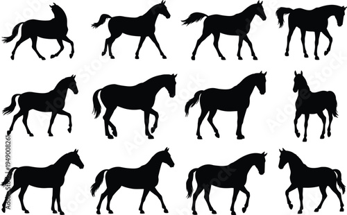 Horse silhouettes collection, running and standing horses set, equine animal shapes, farm animal illustration, black horse vector design
