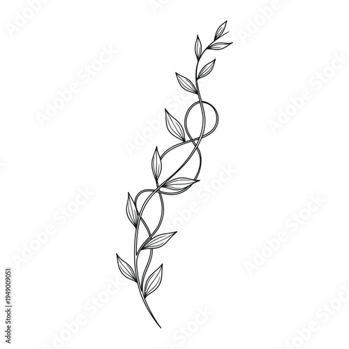 Elegant Twisting Vine with Leaves and Loops.