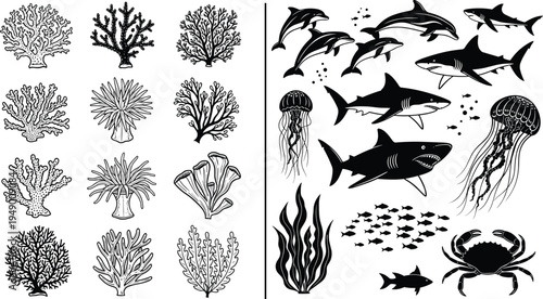 Underwater life vector. Set of marine animals, including sharks, dolphins, jellyfish, and various coral and sea plants