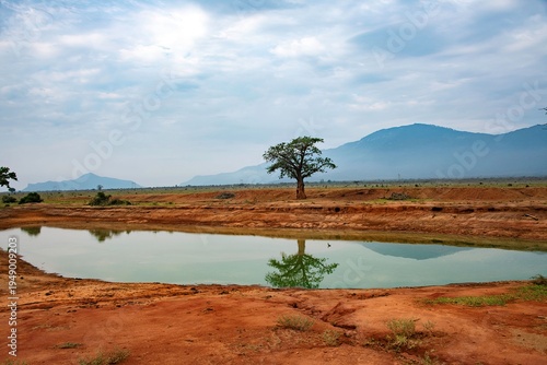 Cuadro en lienzo waterhole in a dry Savannah landscape with Acacia tree at the Tsavo East Nationa