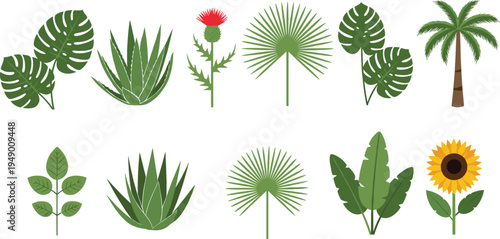 Tropical plants and leaves collection including monstera palm aloe sunflower and botanical foliage nature flat vector illustration set