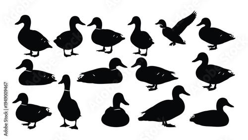 Collection of various duck silhouettes in different poses and orientations on white background