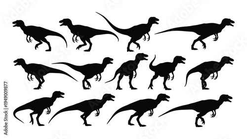A group of eleven black silhouette illustrations of various velociraptor dinosaurs in different walking postures on a white background