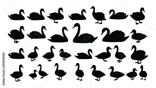 A comprehensive collection of diverse swan silhouettes in various poses and sizes