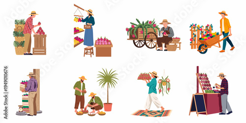 Illustrations of farmers and vendors harvesting, sorting, and selling exotic dragon fruits in various market and garden settings.