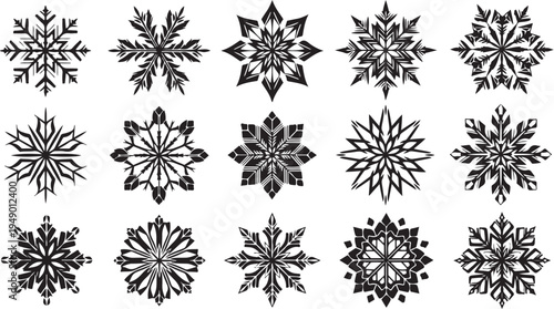 Collection of unique black snowflakes on white background illustration