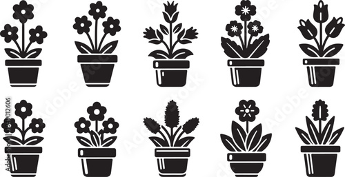 Black and white potted plants illustration with flowers