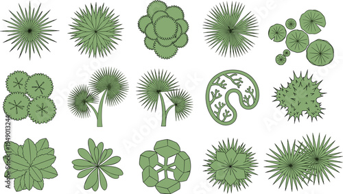 Stylized top‑down botanical illustration grid showcasing diverse plant species, unique leaf arrangements, radial foliage patterns, and artistic designs for landscape architecture and garden planning