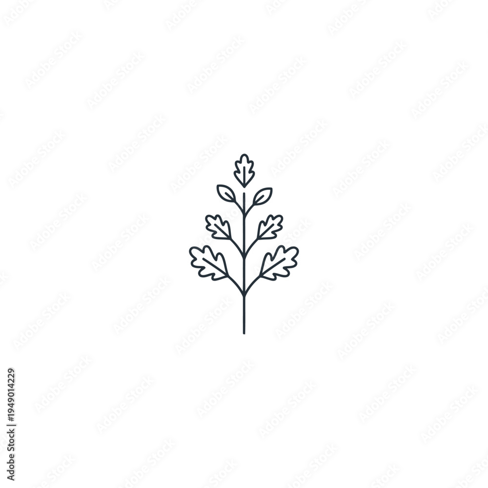 Obraz premium Minimalist Oak Leaf Branch Line Art Illustration.