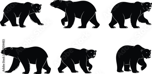 Bear, silhouette, walking, animal, wildlife, predator, mammal, shadow, motion, nature, quadruped, illustration, design, graphic, pose, creature, cycle, movement, side, profile