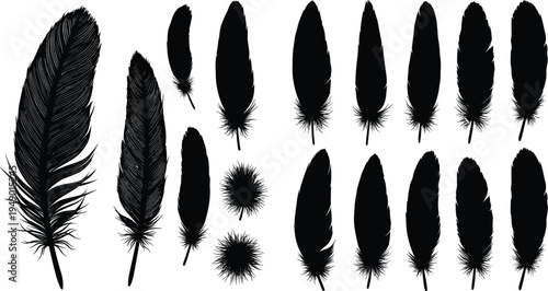 Black feather silhouettes, bird plumage, natural design, vector illustration, decorative pattern, flying element, minimalist background, detailed texture, nature art, abstract graphic