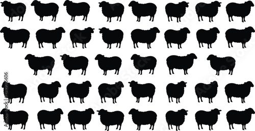 Black sheep silhouettes, animal pattern, flock repetition, farm livestock, uniform design, vector illustration, minimalist background, counting sheep, herd concept, educational graphic