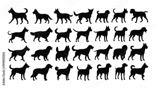 Collection of diverse dog breeds in silhouette form showcasing various shapes sizes and postures