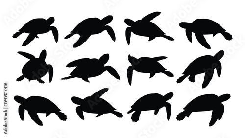 Detailed analysis of turtle silhouettes in various swimming positions and angles