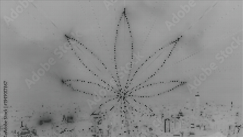 Blurred Cannabis Leaf Behind Screen Mesh Halftone Texture Close Up