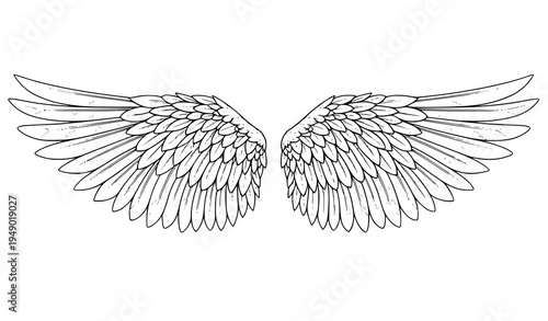 Detailed angel wings illustration with intricate feather line art decorative vector design