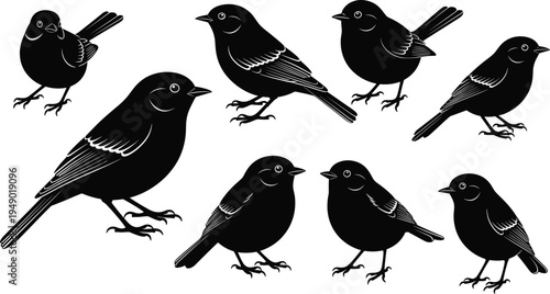 A vibrant overhead shot of a fresh Mediterranean salad featuring ripe cherry tomatoes, sliced cucumbers, and feta cheese crumbles on a rustic wooden table