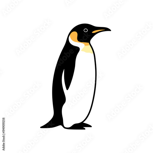 Stylized Emperor Penguin Isolated on White vector illustration