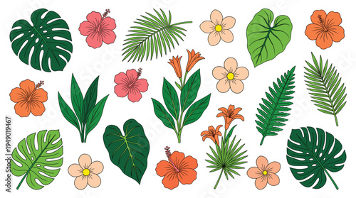 Tropical hibiscus flowers and palm monstera leaves arranged on white background, botanical elements collection showing various exotic plants and petals