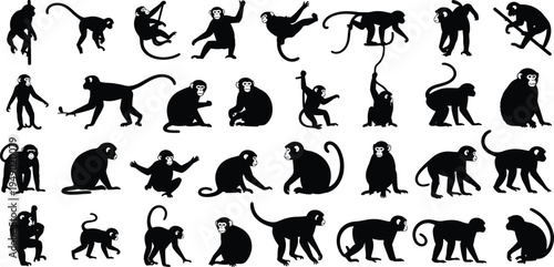 A vibrant overhead shot of a fresh Mediterranean salad featuring ripe cherry tomatoes, sliced cucumbers, and feta cheese crumbles on a rustic wooden table