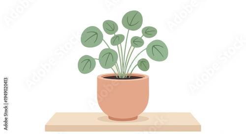 Minimal indoor plant illustration in pot with simple flat vector design.