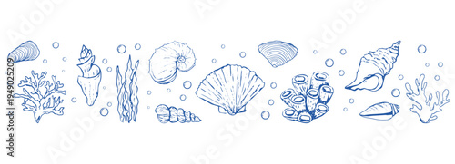 Blue seashells and starfish set sketch hand drawn seamless border coastal horizontal pattern. Summer vacation design elements for trendy prints, 