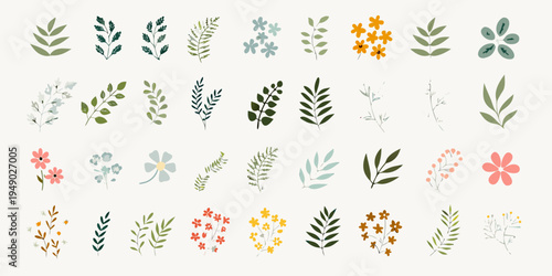 Collection of hand drawn floral and botanical illustration elements