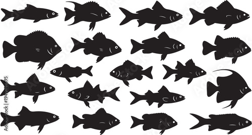 Black fish silhouettes on white background swimming together freely