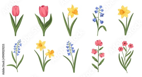 Spring garden flowers and botanical branch set