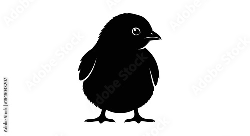 Cute Baby Chick Silhouette Isolated on White Background