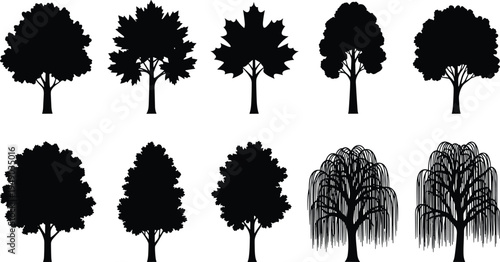 Black tree silhouette collection, maple oak willow forest vector icons set, minimalist nature landscape elements for graphic design, eco friendly symbols.