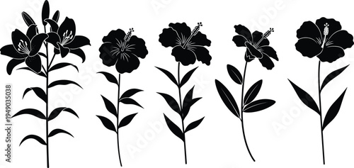 Set of black silhouette floral icons featuring lily and hibiscus flowers with stems and leaves isolated on a white background vector