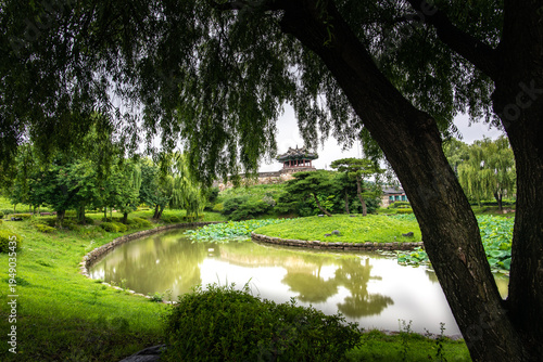 Yongyeon Pond at Suwon Hwaseong Fortress in Summer
