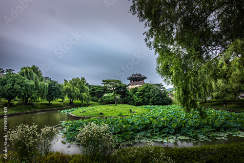 Yongyeon Pond at Suwon Hwaseong Fortress in Summer