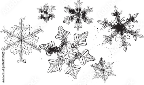 Highly detailed vector illustration of a snowflake, tattoo design.