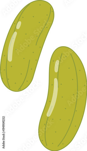 Two dill pickle, Hand drawn organic cucumber pickle illustration