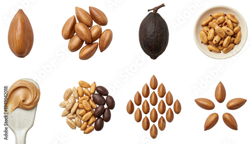 collection of pili nuts (canarium ovatum) shelled roasted and as butter isolated on black background